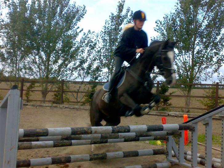 Springning på mine to springmus:-) - Sunshine billede 6