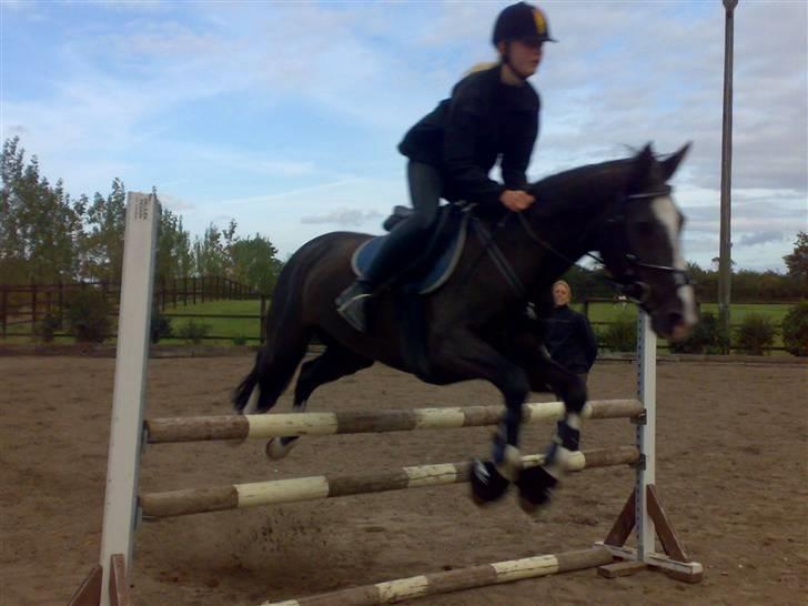 Springning på mine to springmus:-) - Sunshine billede 7