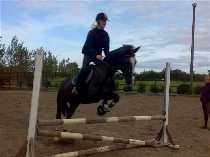 Springning på mine to springmus:-) - Sunshine billede 8