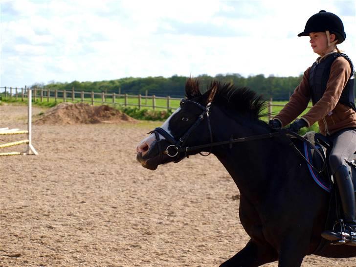 Ups billeder (': - Colle, som rykker "en smule" i mig? xD billede 7