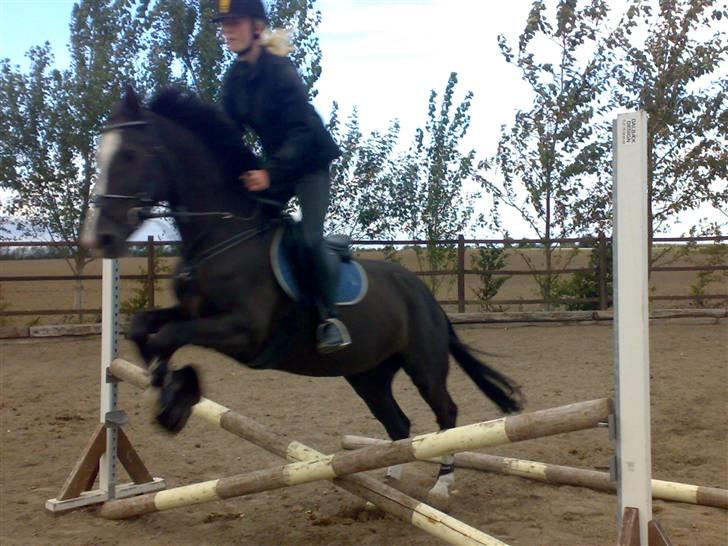 Springning på mine to springmus:-) - Sunshine billede 10