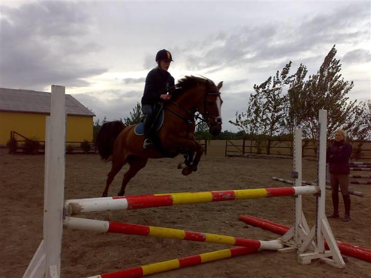 Springning på mine to springmus:-) - Lucky billede 12