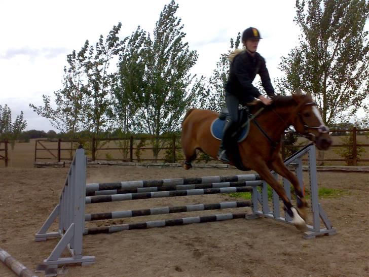 Springning på mine to springmus:-) - Lucky billede 13