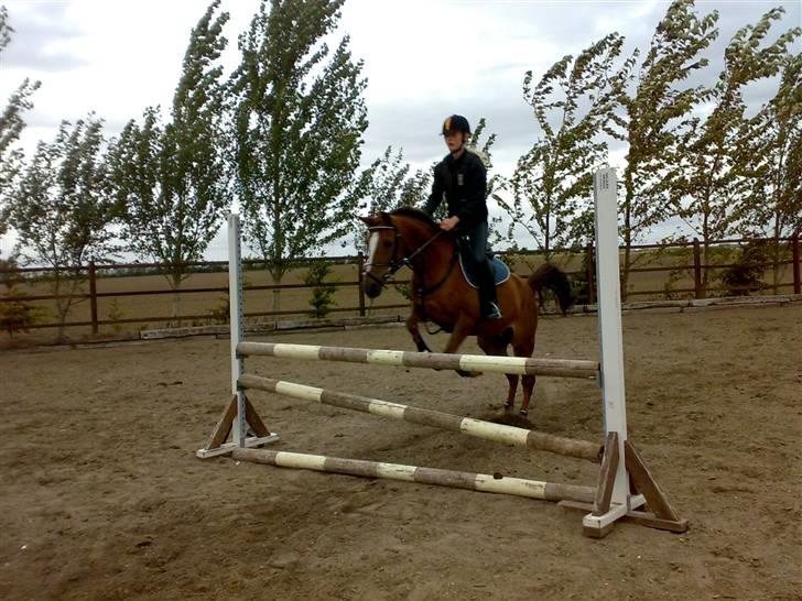 Springning på mine to springmus:-) - Lucky billede 14