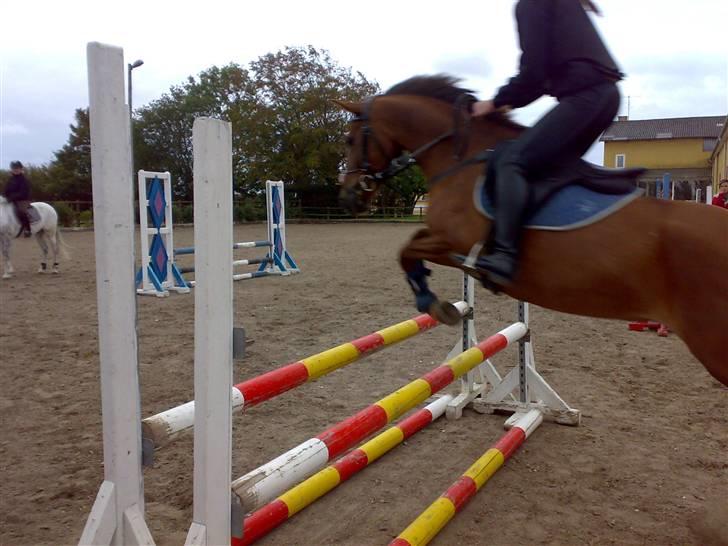 Springning på mine to springmus:-) - Lucky billede 15