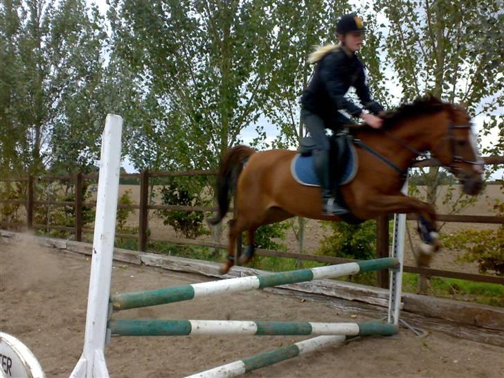 Springning på mine to springmus:-) - Lucky billede 16