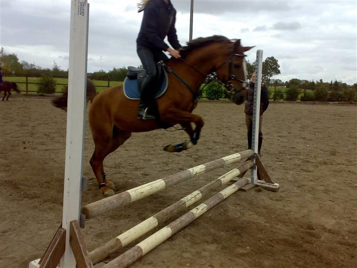 Springning på mine to springmus:-) - Lucky billede 18