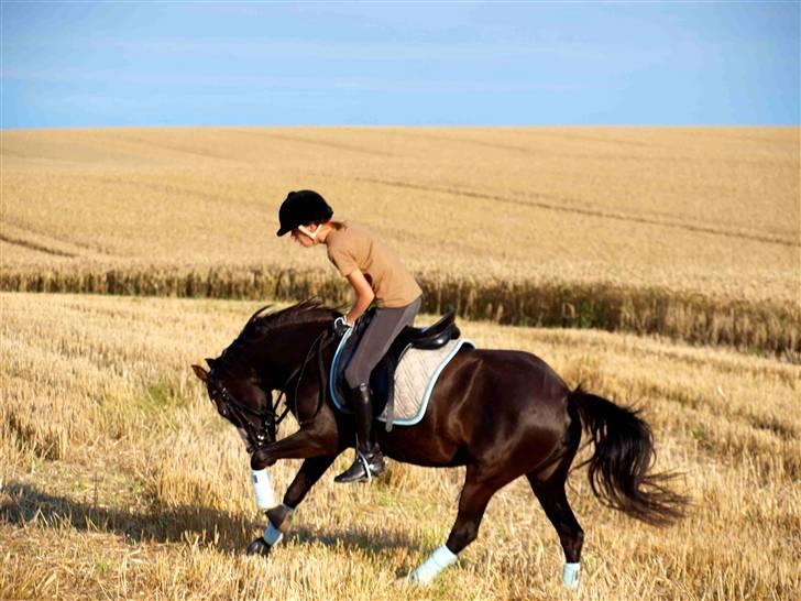 Ups billeder (': - Columbine på vej til et bukkespring xD billede 10