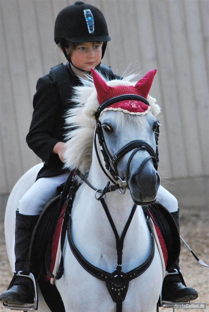 Lucky - NMRC 2009 billede 17