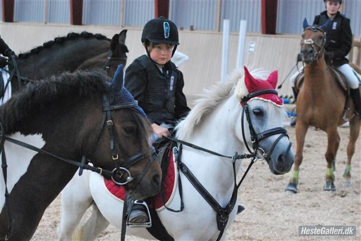 Lucky - Præmieoverrækkelse. NMRC August 2009 billede 22