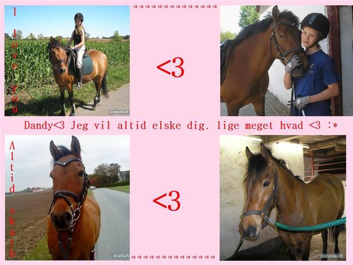 Hej laver billeder til jer :D er de pæne? - 6. Dandy billede 6