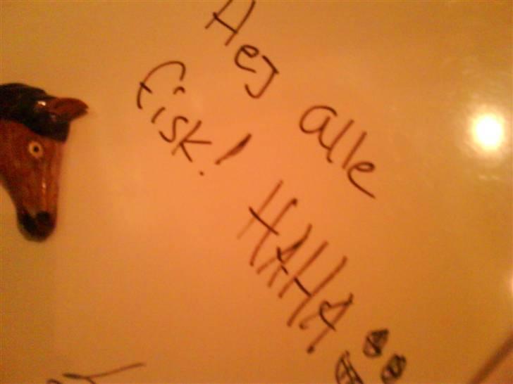 De sjove mennesker hihih  - Hej selv fisk 
 billede 5