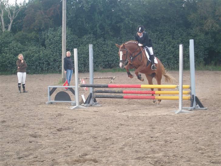 Anderup Rideklub - 2007 billede 1