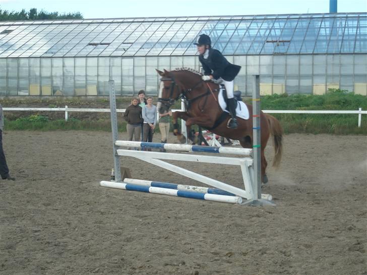 Anderup Rideklub - 2007 billede 2