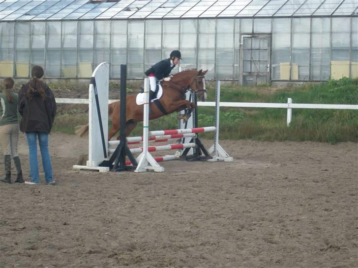 Anderup Rideklub - 2007 billede 3