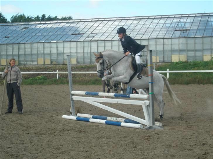 Anderup Rideklub - 2007 billede 5