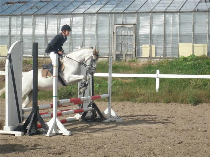 Anderup Rideklub - 2007 billede 6