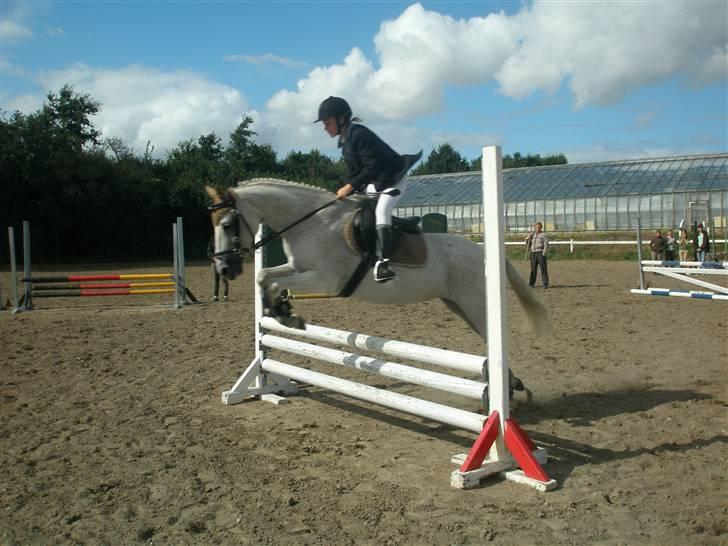 Anderup Rideklub - 2007 billede 8