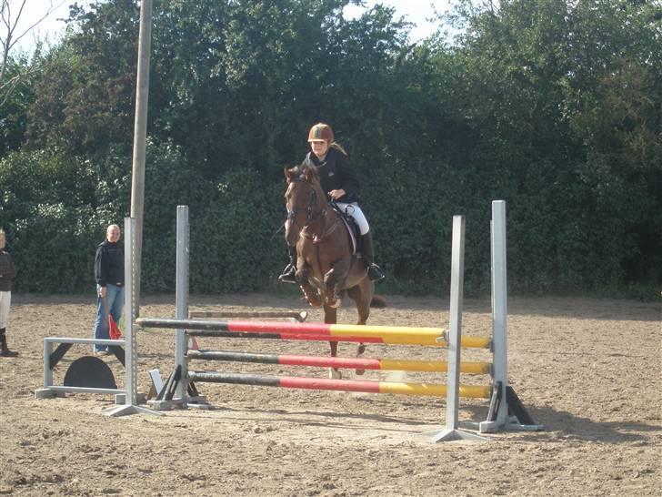 Anderup Rideklub - 2007 billede 9