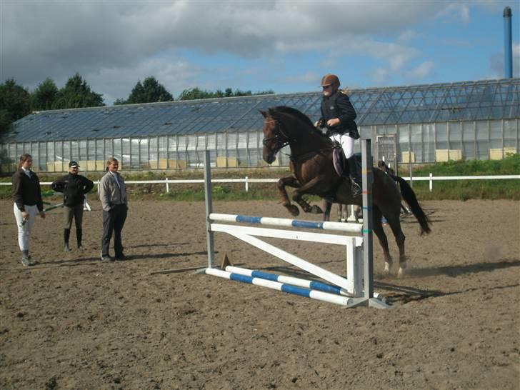 Anderup Rideklub - 2007 billede 10