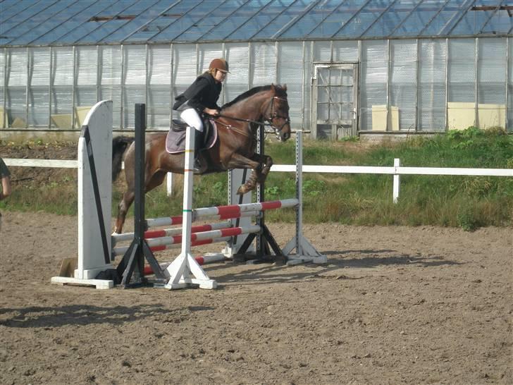 Anderup Rideklub - 2007 billede 11