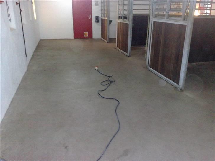 Spalte-rilning af vores stald billede 1