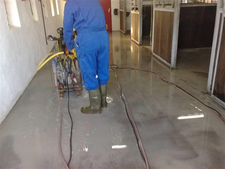 Spalte-rilning af vores stald billede 5