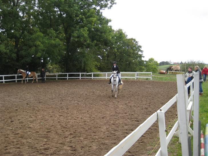 D-stævne Sjølund rideklub d. 10/10-09 billede 6