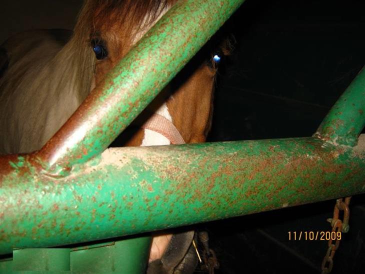 {{currentPhoto.altText}} billede {{currentPhoto.number}}