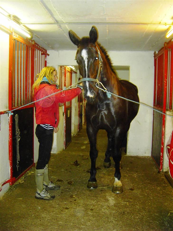 Black Magic - Uggerhalne 08 billede 2