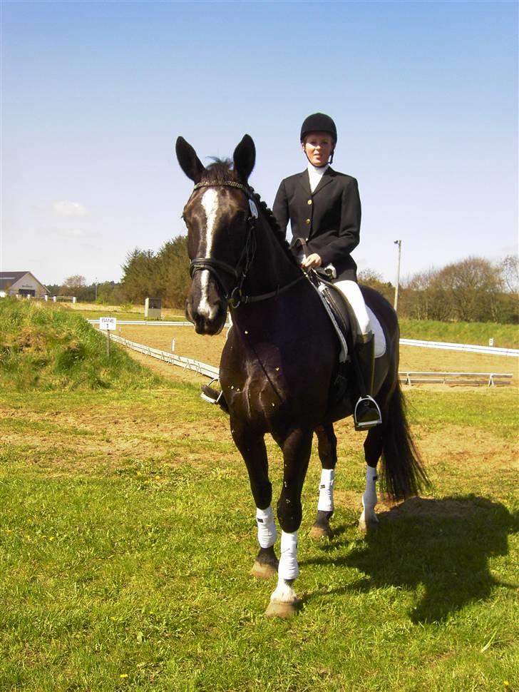 Black Magic - Uggerhalne 08 billede 3