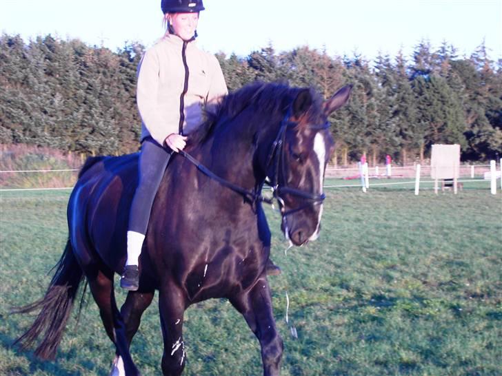 Black Magic - Sommeren 06 billede 4