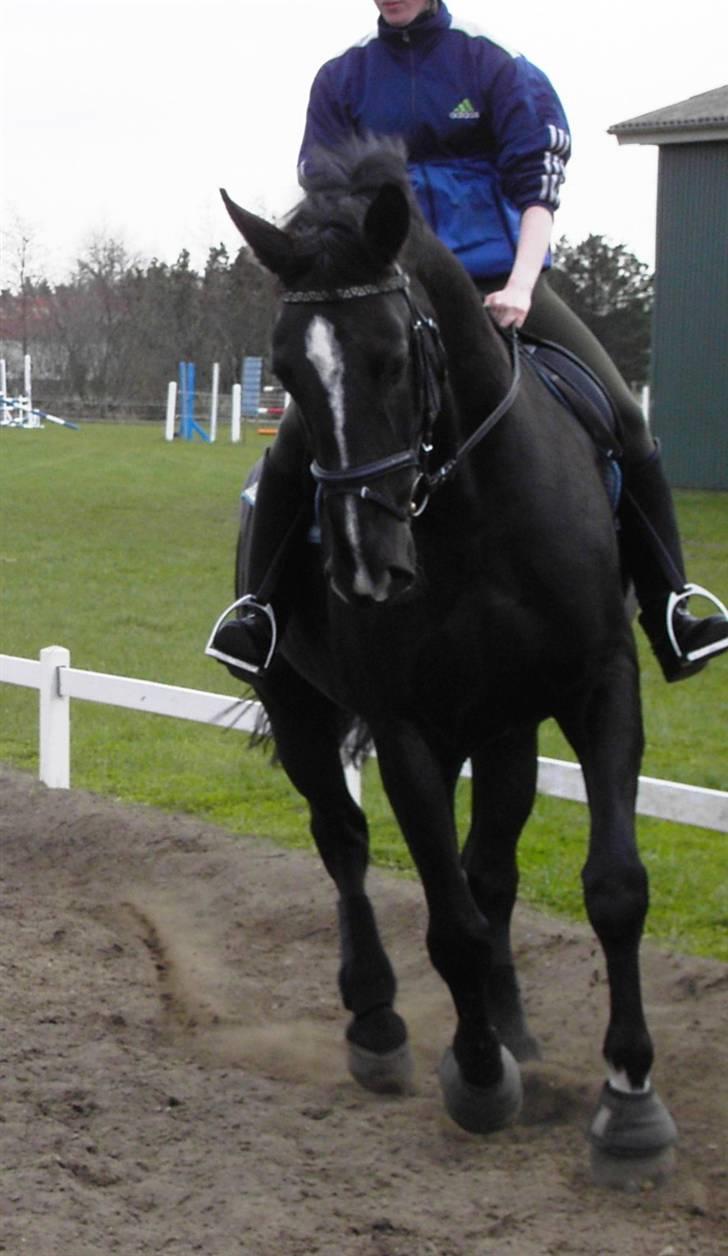 Black Magic - Sommeren 07 billede 5