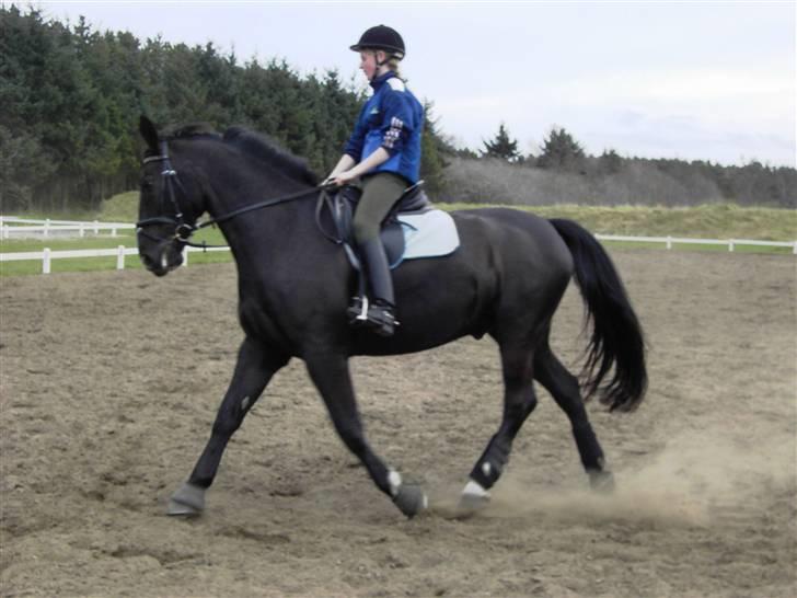 Black Magic - Sommeren 07 billede 6