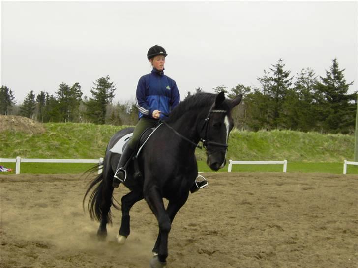 Black Magic - Sommeren 07 billede 7