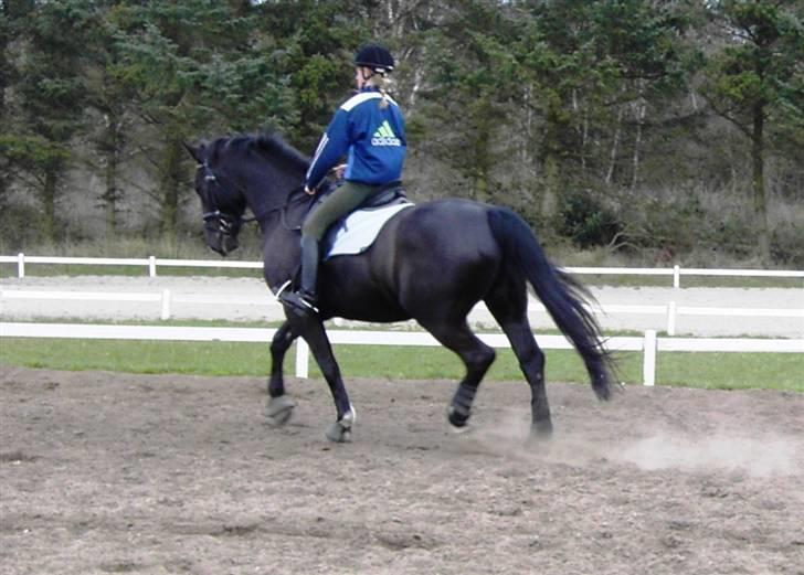 Black Magic - Sommeren 07 billede 8