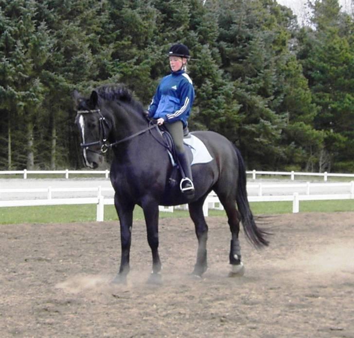 Black Magic - Sommeren 07 billede 9