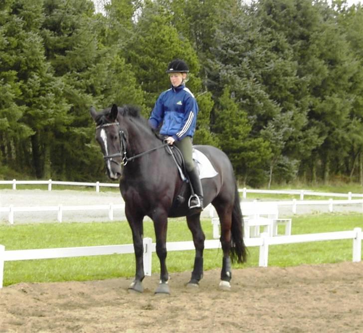 Black Magic - Sommeren 07 billede 10