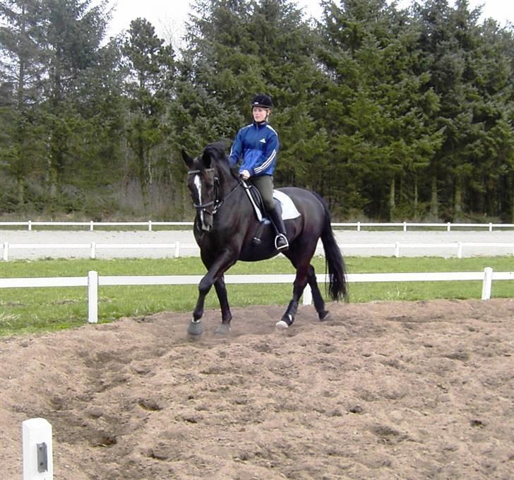 Black Magic - Sommeren 07 billede 11