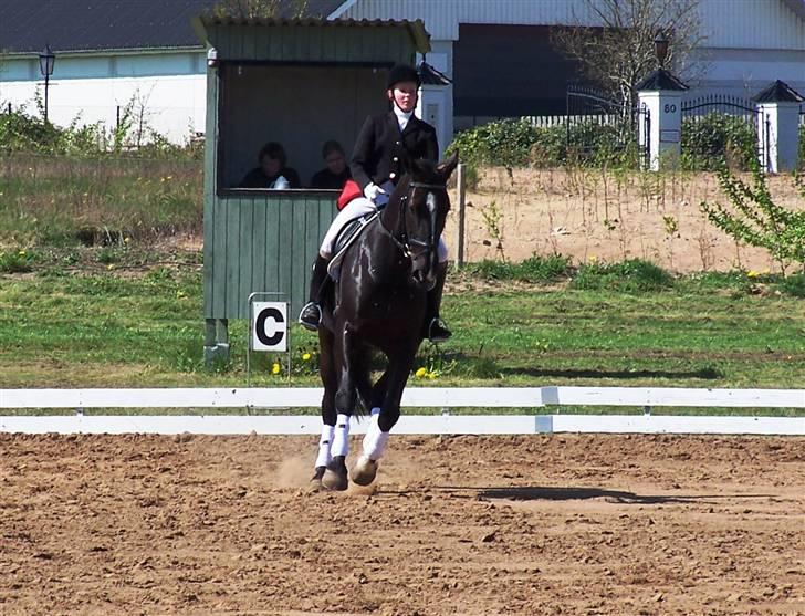 Black Magic - Uggerhalne 08 billede 17