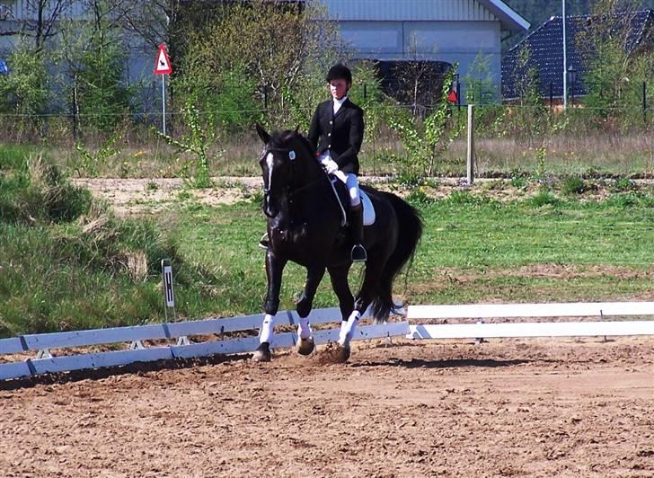 Black Magic - Uggerhalne 08 billede 18