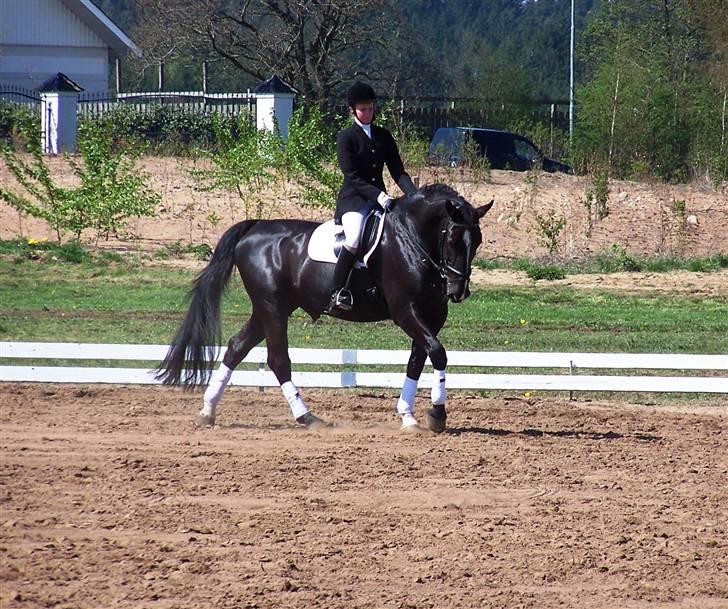 Black Magic - Uggerhalne 08 billede 19