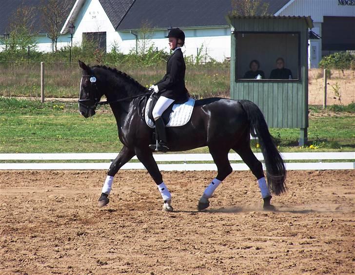 Black Magic - Uggerhalne 08 billede 20