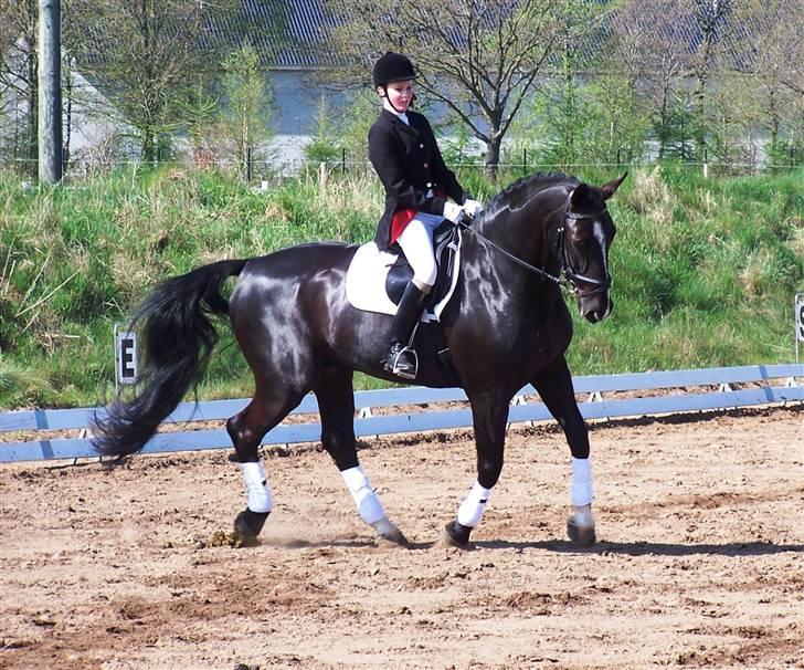 Black Magic - Uggerhalne 08 billede 21