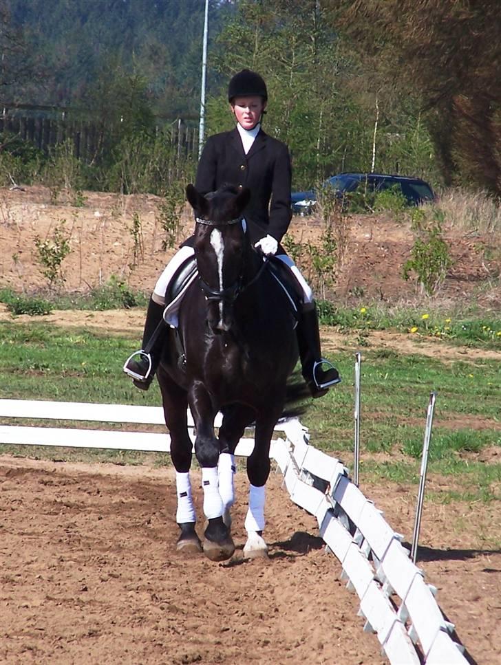 Black Magic - Uggerhalne 08 billede 22