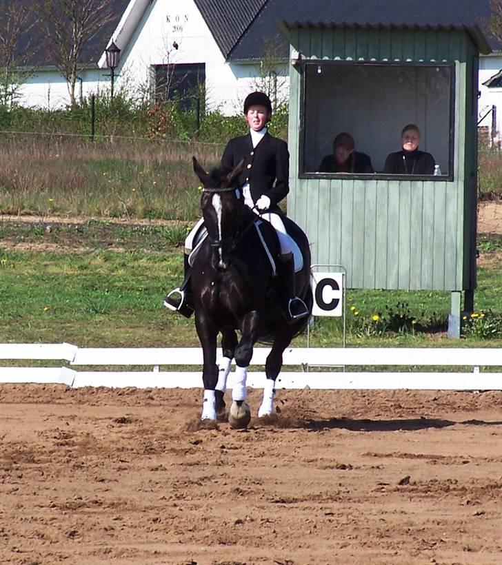 Black Magic - Uggerhalne 08 billede 23