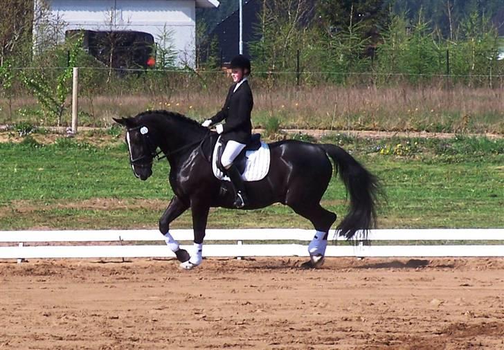 Black Magic - Uggerhalne 08 billede 24