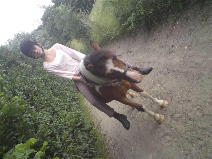 Elevhestene på pårup holm rideklub - Mia og Indy der er på vej ned til folden billede 6