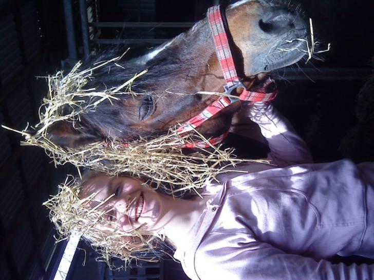 Elevhestene på pårup holm rideklub - Mia og Toreth og begge er fyldt med halm billede 7