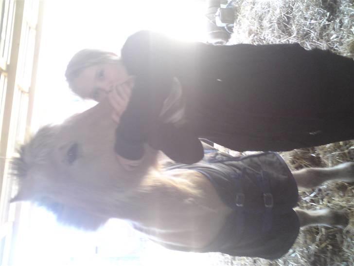 Elevhestene på pårup holm rideklub - Mona og mig billede 10